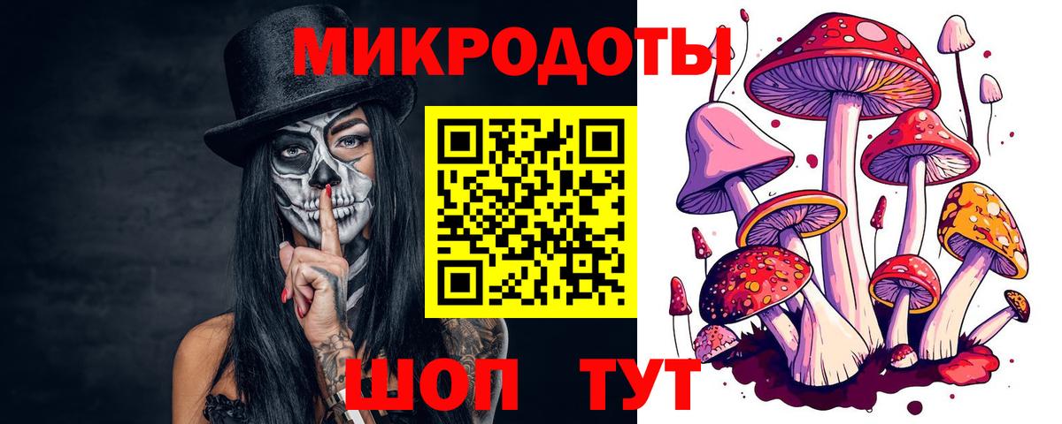 Курчалой  Галлюциногенные грибы мухоморы  Псилоцибиновые грибы GOLDEN TEACHER  Вход с VPN 