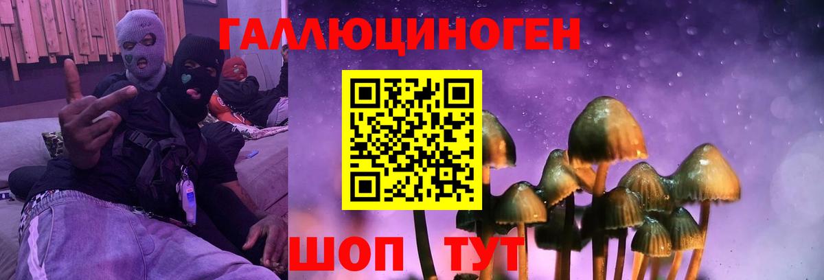 Галлюциногенные грибы MAGIC MUSHROOMS Курчалой